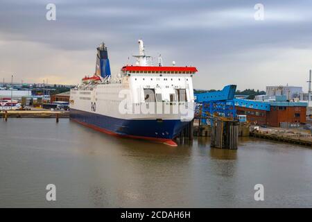 Ferry P & O, Pride of York, de Hull à Zeebrugge, Hull Docks, Hull, Royaume-Uni Banque D'Images