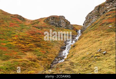 Toundra alpine colorée traversée par un petit ruisseau Banque D'Images