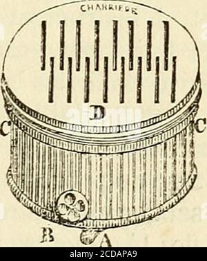 . Manuel de petite chirurgie . Figure 302. A laide dun média très-simple, M. Charrière est par-venu à donner au restri des scarificateurs un grand degré desolidité et de Souplesse. 11 a remplacé les deux types de données ordinairespar deux noms dacier de 10 à M centimes,roulées sur elles-mêmes à la maniere dun restri de pendule ;de telle sort que ces deux types de données sont présents un seuil de tension-petit espaceet quon peut the hauteur de tension. Aide de ce mois, il nid plus nécessaire demployeur de lhuilepour faire fonctionner lappaireil ; le tri d'une constante de force Banque D'Images