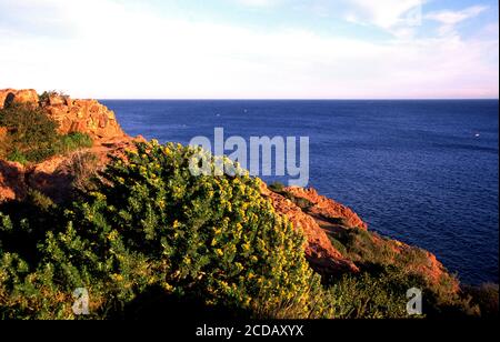 Côte de la Corniche d'or à Esterel Banque D'Images