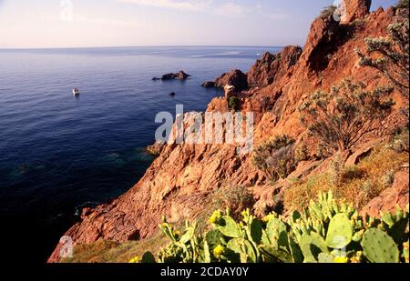 Côte de la Corniche d'or à Esterel Banque D'Images