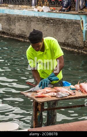 Un homme nettoyant poisson en vente sur le marché de la Promenade point-a-Pitre, Guadeloupe. Il enlève les balances avec un bâton avec les bouchons de bouteille de bière a Banque D'Images