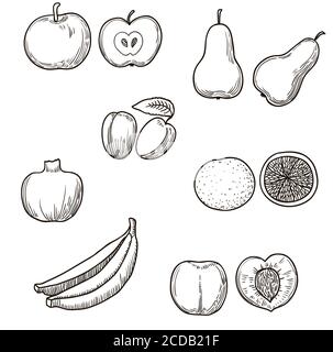 Grand ensemble de fruits dessinés à la main Illustration de Vecteur