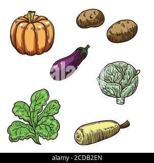 Grand ensemble de légumes dessinés à la main Illustration de Vecteur