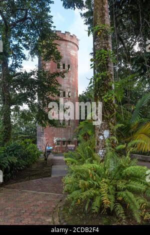 La tour d'observation de Yokahu de 75 mètres de haut dans la forêt nationale d'El Yunque, Porto Rico. Banque D'Images