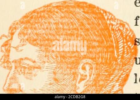 . New Jersey comme colonie et comme état : un des treize originaux. •rar HAWKEN. 158 NEW JERSEY COMME COL. Banque D'Images