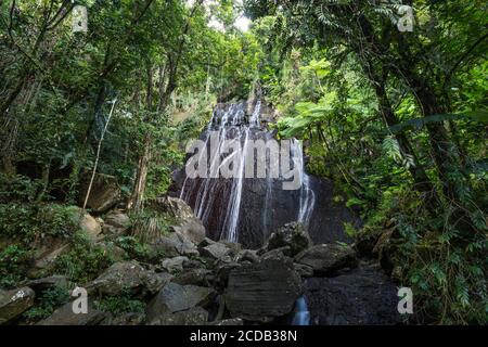 La Coca Falls dans la forêt tropicale nationale El Yunque à Porto Rico. Banque D'Images