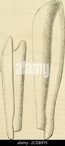 . Manuel de petite chirurgie . Figure 203. seront conventionement dessins, sur les servera dans un en-droit sec. La figure 204 présente les deux modèles pour les APPAREILS MODELES. 313 fractures de la cuisson, et la figure 205 les.attelles de la fracrede lavant-bras. 11 is a certain nombre of cassures qui needed of pan-encies, this sont the cassures complices of laie.ces complications ne contrast-indicent pas lemploi des appareilsmoted, mais in ces conderil cirent indispensable. FL^. 20 : détablister une ouverture eu une sortie de fenêtre au niveau de Banque D'Images