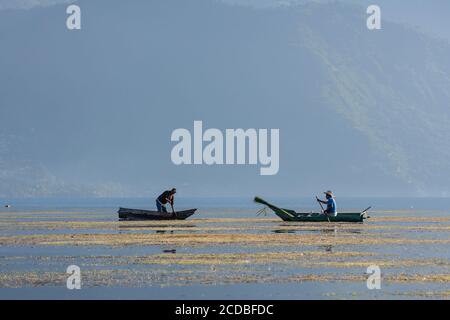 Deux pêcheurs mayas pagagent leurs cayucos ou canoës sur le lac Atitlan par San Pedro la Laguna, Guatemala. Banque D'Images