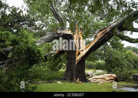 ÉTATS-UNIS. 27 août 2020. Un arbre est divisé après que l'ouragan Laura a balayé la base aérienne de Barksdale, en Louisiane, le 27 août 2020. L'ouragan Laura a fait une chute dans la catégorie 4, mais il a été affaibli dans la catégorie 2. Des centaines de milliers de maisons et d'entreprises en Louisiane et au Texas sont sans électricité. Au moins quatre personnes sont mortes après l'arrivée de l'ouragan Laura sur terre comme une tempête grave. Photo de SRA Lillian Miller/U.S. Force aérienne/UPI crédit: UPI/Alamy Live News crédit: UPI/Alamy Live News Banque D'Images