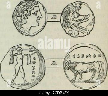 . Dictionnaire de géographie grecque et romaine . C. plus petit temple, de Vesta (?). D. Amphithéâtre. R. autres ruines &gt;&gt;f Roman Time.F F. Gates of the City.G. Rivière Saho. Le petit fleuve qui (comme déjà remarqué par Strabo), en stagnant sous les murs de Paestum, rendu sa situation si malsaine, est maintenant appelé theSaho : son nom ancien n'est pas mentionné. Il formevastes dépôts d'une pierre calcaire, ressemblant au travertin romain, qui forme un excellent matériau de construction, avec lequel les deux murs andifices de la ville ont été construits. La ma-laria, qui a causé le site à être qui Banque D'Images