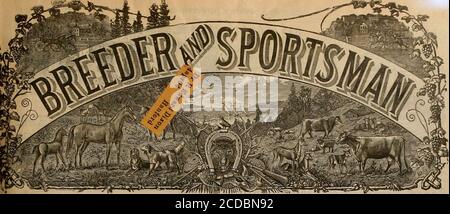 . Sélectionneur et sportif . FISHING Tackle 538 MARKET STREET, S. F. vous pouvez obtenir ces poudres sans fumée en USINE..LOADED SHELLS DTT FONT SHOTQTTN RIELEITE E. C. BALLISTITE SOHU1TZE LATLIN & BAUD HAZARD INFALLIBLE que voulez-vous de plus?. TOL. XLIV. N° 4, :est QEAEY STREET. SAN FRANCISCO, LE SAMEDI 23 JANVIER 1904. SUBSCRIPTIONTHREE DOLLARS UNE DÉCHIRURE Banque D'Images