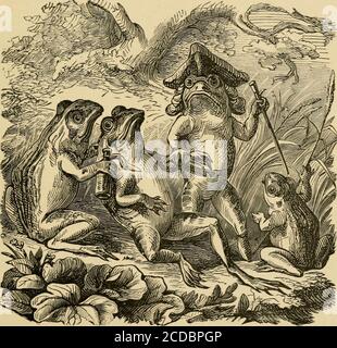 . Rimes et jingles . Si jamais j'ai eu besoin de bonnes soins maintenant, et votre patte masculine, monsieur, il égratigne mon front. 1 besoin d'en un doux — plus doux que l'air — 0 père! Je crains 1 être blessé ici. Et notre grenouille a pressé son coeur dans le désespoir le plus profond v. maintenant, porter, mon fils, a crié le sorrade Gluck. Voir ! le médecin vient. Il 11 nous apporter bonne chance.par mon croak! Mais son PAFF, le vieux buck concei,* LA GRENOUILLE. lis? Puis, rapide au médecin, mon enfant ! Est-il tué ?Oh! Sauvez-moi mon fils du phaeton déversé.Heste! Donnez-moi la lotion ! Je 11 le verse ici. Non, non, gémit le patient, moi Banque D'Images