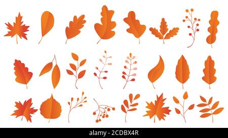 Ensemble de feuilles d'automne, illustration vectorielle, icônes de feuilles d'automne ou de feuillage d'automne, chute de peuplier, feuilles d'automne pour les vacances saisonnières carte de vœux conception Illustration de Vecteur