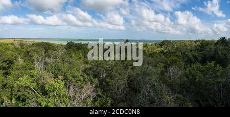 Vue sur le lagon de Muyil et la forêt la tour d'observation en bois dans la forêt tropicale de la Sian Ka'an UNESCO World Biosphere Rese Banque D'Images