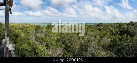 Vue sur le lagon de Muyil et la forêt la tour d'observation en bois dans la forêt tropicale de la Sian Ka'an UNESCO World Biosphere Rese Banque D'Images