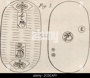 . Voyages de C. P. Thunberg, au Japon, par le cap de bonne-espérance, les îles de la sonde, et c. Traduction, rédigés et augmentations de notes complémentaires sur la religion, le gouvernement, le commerce, l'industrie et les langues de ces différences contrées, particulières sur le javan et le malai; par L. Langlès... Et revus, quant à la partie d'histoire naturelle, par J. B. Lamarck... Avec des planches. . n.m.. Banque D'Images