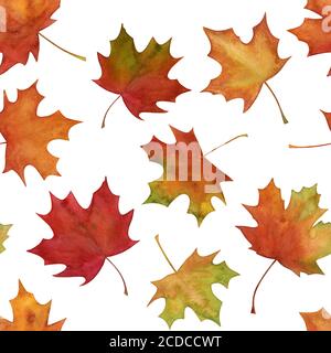 Feuilles d'érable colorées à la main motif transparent Banque D'Images