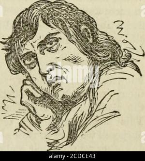 . Le poète soldat. Un souvenir de la valeur, du talent et du patriotisme de Joseph Kent Gibbons, qui est tombé au service de son pays pendant la grande rébellion . Figure 436—RAvma. Figure 440.—AMOUR-MALADE. Samuel E. Wells Publications. Banque D'Images