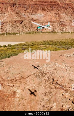 Un Cessna 180 Skywagon de l'Utah Backcountry Pilots Association survole la rivière Green à Labyrinth Canyon près de Moab, Utah. Les ombres de deux Banque D'Images