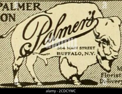 . L'échange des Floristes : un moyen hebdomadaire d'échange pour les fleuristes, les nourriciers, les planteurs et le commerce en général . S. A. ANDERSON Cleveland, Chip 440 MAIN ST., BUFFALO, N. y Anderson service signifie des stocks frais et solides et des livraisons rapides dans BL FFALO. NIAGARA FALLS, LOCK.PORT ET WESTERN NEW YORK. SKJ.PALMER&gt;^ est[ SON ^ I. L. Banque D'Images