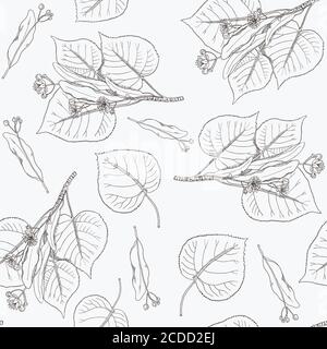 Motif sans couture avec fleurs et branches de tilleul vintage. Illustration de Vecteur