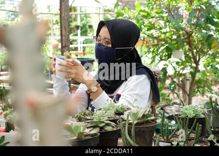 Une photo d'une belle fille asiatique dans un voile et portant un masque tenant un petit cactus dans un jardin fleuri Banque D'Images