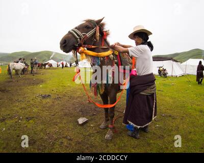 Le cavalier Khampa préparait son cheval pour la course dans un festival de chevaux près de Litang City. Banque D'Images