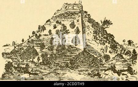 . Naturaliste au Mexique : visite à Cuba, au nord du Yucatan et au Mexique . ^ un bâtiment en ruines : la Maison de theDwarf, ou Casa del Adidino. Les côtés de cette structure élevée étaient couverts d'herbe haute, de buissons, et de petits arbres,vingt pieds ou plus de haut. La plaie fronta une cour de cour mesurant cent trente pieds par quatre-vingt-cinq. La plaie elle-même mesurait deux cent trente-cinq pieds de longueur et cent cinquante-cinq de largeur. Itwas environ quatre-vingt-huit pieds de hauteur, et une centaine feetto le sommet du bâtiment sur son sommet. Ce n'était pas vrai. MAISON DU PYRAM NAIN Banque D'Images