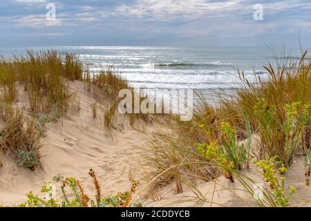 Vagues de l'océan se brisant sur une plage de l'Atlantique vide sur la côte française. Prise d'un petit chemin en été à la fin de l'après-midi Banque D'Images