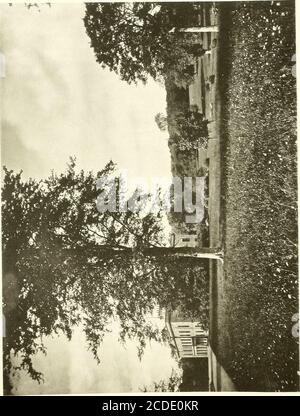 . Les Bairds de Gartsherrie. Quelques avis de leur origine et de leur histoire . crégulairement, jusqu'à ce qu'il ait été au-dessus de seize. Après cela, il vécut à Newmains, où il fit quelques travaux légers sur la ferme. À ce moment-là, il a retrouvé sa santé, et quand il a un peu plus de vingt ans, il est devenu un associé de l'entreprise.il a vécu au Coal-Hole, et a pris en charge les départements de suchdeas qui lui ont été assignés, et il a toujours performedably les fonctions qui lui sont confiées. Après le début des travaux d'iron, George a été responsable des travaux au-dessus du sol dans les collieries, et ici il a dû compter sur l'alerte, comme le vétéran Cameron était plus Banque D'Images