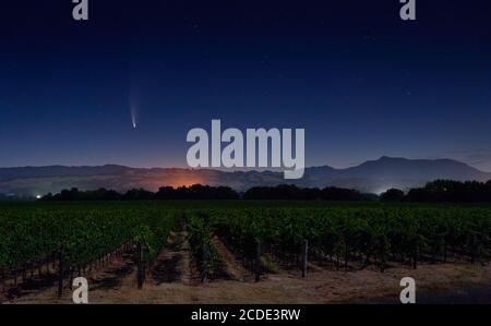 Comet Neowise dans le ciel nocturne en juillet vu d'un vignoble rural à Healdsburg avec le mont Sainte-Hélène en arrière-plan. Banque D'Images