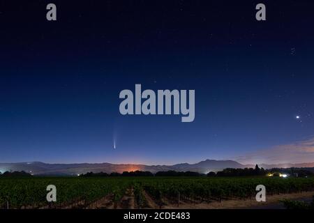 Comet Neowise dans le ciel nocturne en juillet vu d'un vignoble rural à Healdsburg avec le mont Sainte-Hélène en arrière-plan. Banque D'Images