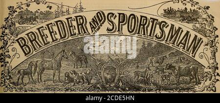 . Sélectionneur et sportif . Agents uniques pour FRAZIEB (OU CHICAGO) ET Sulkies, 201-203 Market Street, SAN FRANCISCO, < VI J - . M ? 1 ; 1:1 m k si f 1 ? i 1 émet un signal sonore aux chevaux h1 de l'appétit, ]1 et détruit t ? MANHjS Jaltby, promévent les ormes de la jambe. $?.J .TTAN tes dlgentiwelling, STIO par mi NOURRITURE sur, les chevaux d'engraissement, nous lâche iengthens les reins, regalU JBS. Demandez à votre revendeur FO CO., 206 Clay S tie hide, aide les entrailles ou Bend to t., S. F. J^^r; VINGT-QUATRE PAGES. &3-9*:. SAN FRANCISCO, LE SAMEDI 21 JUIN 1890. Sam Purdy, 2:20 1-2- il y a quelque temps, nous avons envoyé une lettre à M. Foxhall A. Da Banque D'Images