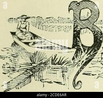 . Le guide standard . LA CÔTE EST„. EYOND St. Augustine, en passant par la ligne de côte est, un findsij peu pour l'intéresser dans la bande monotone de piny oat-boisés et de palmetto broussailles, jusqu'à la distance d'environ cinquante ^^ Mjtv^-S^ miles la route détourne vers Ormond. Et maintenant la scène ^.^^1^^^^* change. Une nouvelle Floride commence, comme à la différence du rêve, ::-ZL:m/.^ les forêts plates sablonneuses comme elles sont à la différence de la colline vallonnée et du pays du lac. Ormond est situé sur la rivière Halifax, et aussi sur la plage de l'Atlantique^ les deux étant séparés par une péninsule d'un demi-mile de large. Le Halifax appartient à ce syste Banque D'Images