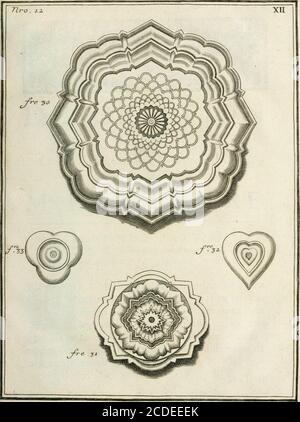 . Receil d'ouvrages curieux de mathématique et de mecanique; ou, Description du cabinet de moniteur Grollier de Serviere. Avec près de 100 planches en taille-douce . ÏJ Banque D'Images