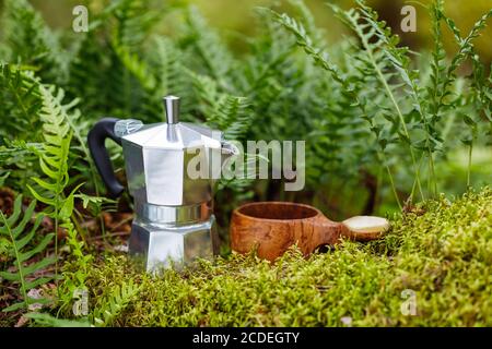 Moka pot avec kuksa sur la mousse verte dans la forêt. L'arrière-plan de fougères est flou. Banque D'Images