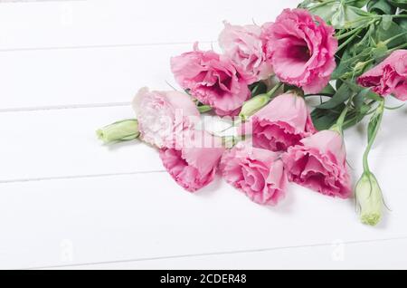 L'eustoma rose frais fleurit sur fond blanc en bois Banque D'Images