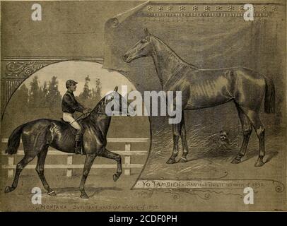 . Sélectionneur et sportif . Vol. XX. N° X.N° 313, RUE BUSH. SAN FRANCISCO, SAMEDI 25,1892 JUIN. SUBSCRIPTIONFIVE DOLLARS PAR AN.. CHEVAUX DE CALIFORNIE DEVANT. Le samedi dernier un grand jour pour les Golden Gaters—Montana remporte le banlieue handicap et Yo Tambien le Rich Garfield Derby. New York, le 18 juin — un autre Suburban a été exécuté. Le premier argent va à un Coaster du Pacifique, Marcus Daly, propriétaire du Montana, les honneurs à la Californie. Le résultat ne peut pas être qualifié de surprise depuis jeudi montanatrial. Puis, encore une fois, la seule Garrison portait les couleurs de MarcusDalys. Le temps menaçant avait son eff Banque D'Images