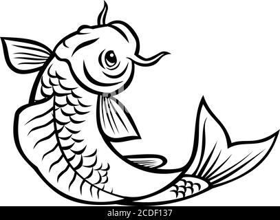 Illustration de style caricaturé d'un poisson jinli, Koi ou nishikigoi, des variétés colorées de la carpe d'Amur Cyprinus rubrofuscus, sautant sur le backgro isolé Illustration de Vecteur