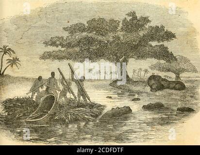 . Lac Ngami; Or, explorations et découvertes pendant quatre ans d'errance dans les wilds du sud-ouest de l'Afrique . s, tandis que le reste se prépare À S'APPROCHER DE L'HIPPOPOTAME. 4gpr lancer les canoës, si l'attaque s'avère réussie.l'agitation et le bruit causés par ces préparations graduallysubside. La conversation se déroule dans un murmure, et tout le monde est sur le qui vive. Les ronflements et les plongements sont plus distincts, mais un virage dans le ruisseau dissimule les animaux de la vue. L'angle étant passé, les objets sombres sev-eral sont vus flottant sans cesse sur l'eau, plus regarder Banque D'Images