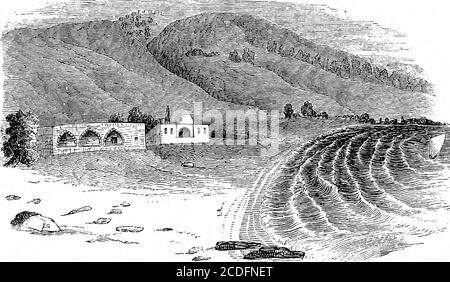 . Un dictionnaire de la connaissance religieuse [ressource électronique]: Pour un usage populaire et professionnel, comprenant des informations complètes sur les sujets bibliques, théologiques et ecclésiastiques . s anithit terse verdict, l'ensemble de la discussion aboutle poisson de Jonahis vain et sans utilisation. L'endroit où il a été jeté à terre est également incertain, bien que les Moslems pointouttheidenticalbeach, avec une grande confiance, à Porphyreon, entre Sidon et Beyrouth, où est érigé un bâtiment qui passe devant son tombeau. Il y a aussi eu une discussion sur la nature de la gourde que le Dieu teltsus de la Bible a préparé pour le Banque D'Images