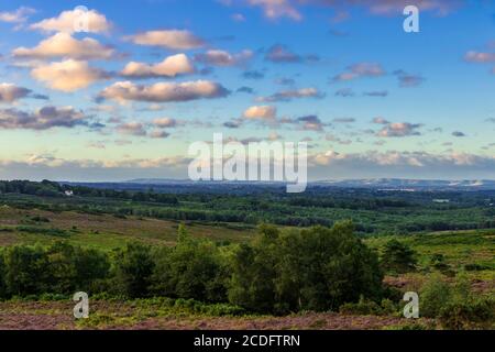 Dawn au-dessus de la forêt Ashdown de Stone Hill dans East Sussex sud-est de l'Angleterre avec les South Downs à l'horizon Banque D'Images