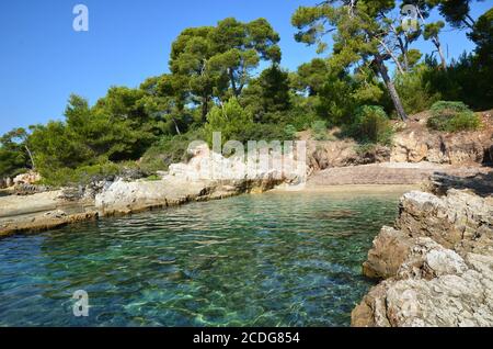 France, côte d'azur, baie des îles de Cannes Lerins une crique sur l'île Sainte marguerite, ce site naturel en mer méditerranée est très protégé. Banque D'Images