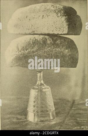 . La fierté du ménage; la gestion complète des boulangers . de levure comprimée.2 tables de sel.2 tables de lait condensé.?| livre de farine de maïs blanche.-J tasse de saindoux.34 tasses de farine. COMMENT MÉLANGER. Ébouillanter la semoule de maïs blanche avec un quart d'eau bouillante et remuer rapidement, de sorte qu'elle ne sera pas grumeleuse, et letit tenir jusqu'à ce que frais. Dissoudre la levure dans 2 quarts d'eau tiède et la verser dans un bol en bois, puis ajouter le lait condensé, le sel, le saindoux et le repas éboulé et les dissoudre, puis ajouter la farine et mélanger soigneusement. La pâte à pain se lèvera dans 3 heures (par temps chaud il Banque D'Images