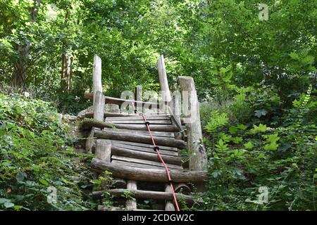 Salle de gym naturelle dans la jungle avec corde à Schlossberg à Freiburg im Breisgau en Allemagne. Les installations sportives sont situées dans une forêt entourée d'arbres sauvages. Banque D'Images