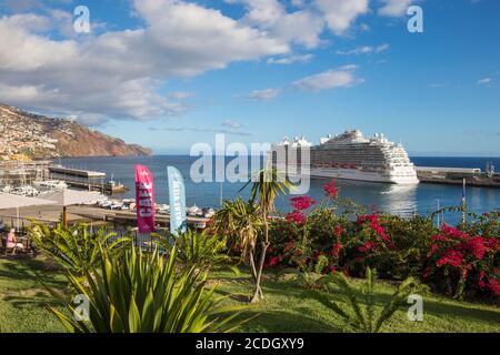 Portugal, Madère, Funchal, vue sur le parc Santa Catarina et bateau de croisière Banque D'Images