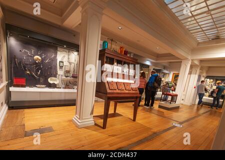 Edinburgh Surgeons Hall Musées intérieur - grande collection de pathologie Et l'histoire médicale, y compris l'histoire de la médecine en Écosse Et au Royaume-Uni Banque D'Images