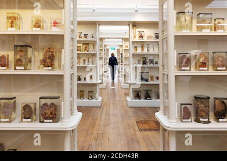 Edinburgh Surgeons Hall Musées intérieur - grande collection de pathologie Et l'histoire médicale, y compris l'histoire de la médecine en Écosse Et au Royaume-Uni Banque D'Images