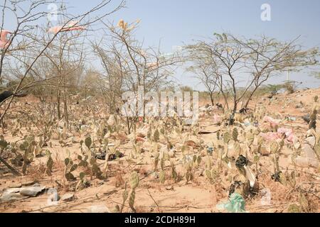 Déchets et sacs en plastique piégés dans des buissons épineux à la périphérie d'Uribia, la capitale indigène du pays, département de la Guajira, Colombie. Banque D'Images